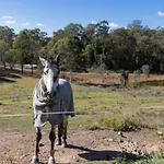 The 2Br Farm Escape Idyllic Scenery Peaceful Tour